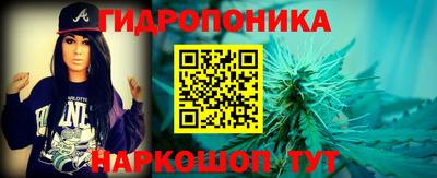 гидра Татарск