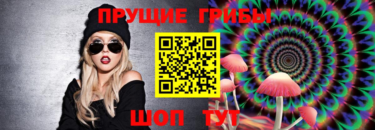 Псилоцибиновые грибы Cubensis Отрадное